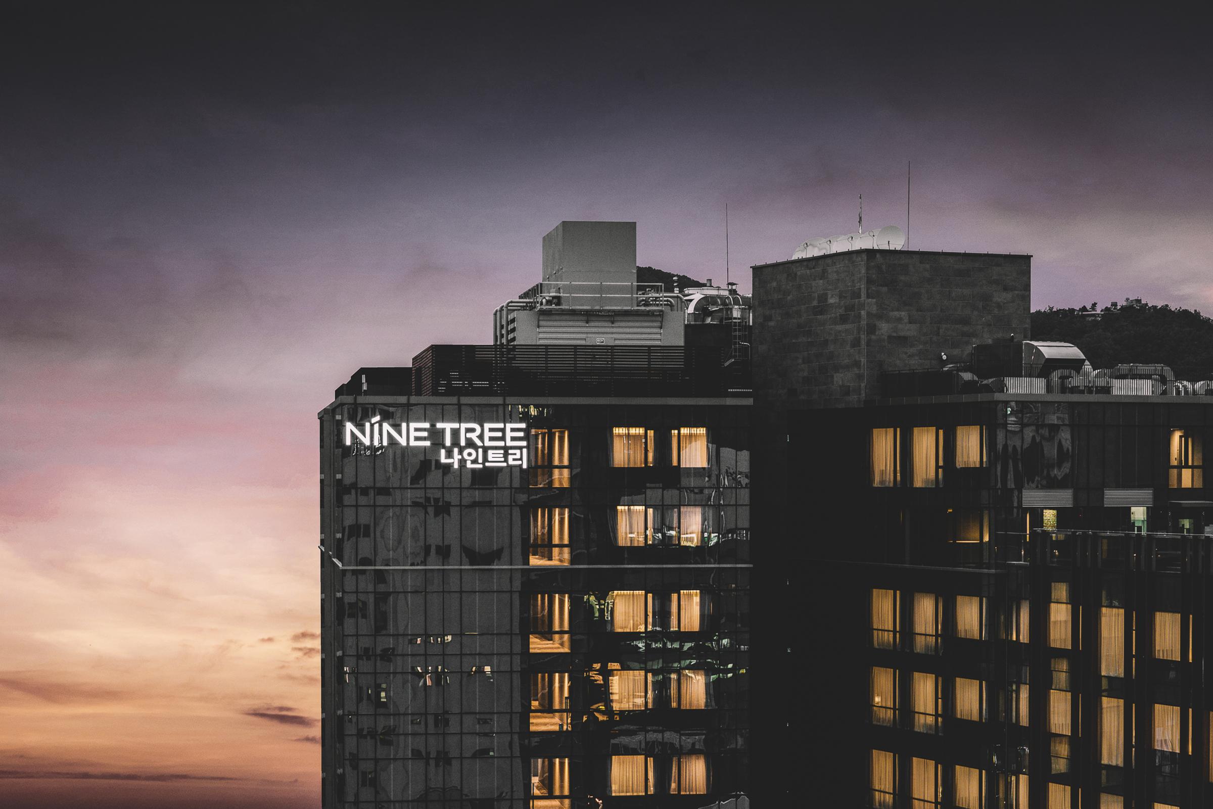 Nine Tree By Parnas Seoul Insadong Hotel Екстериор снимка